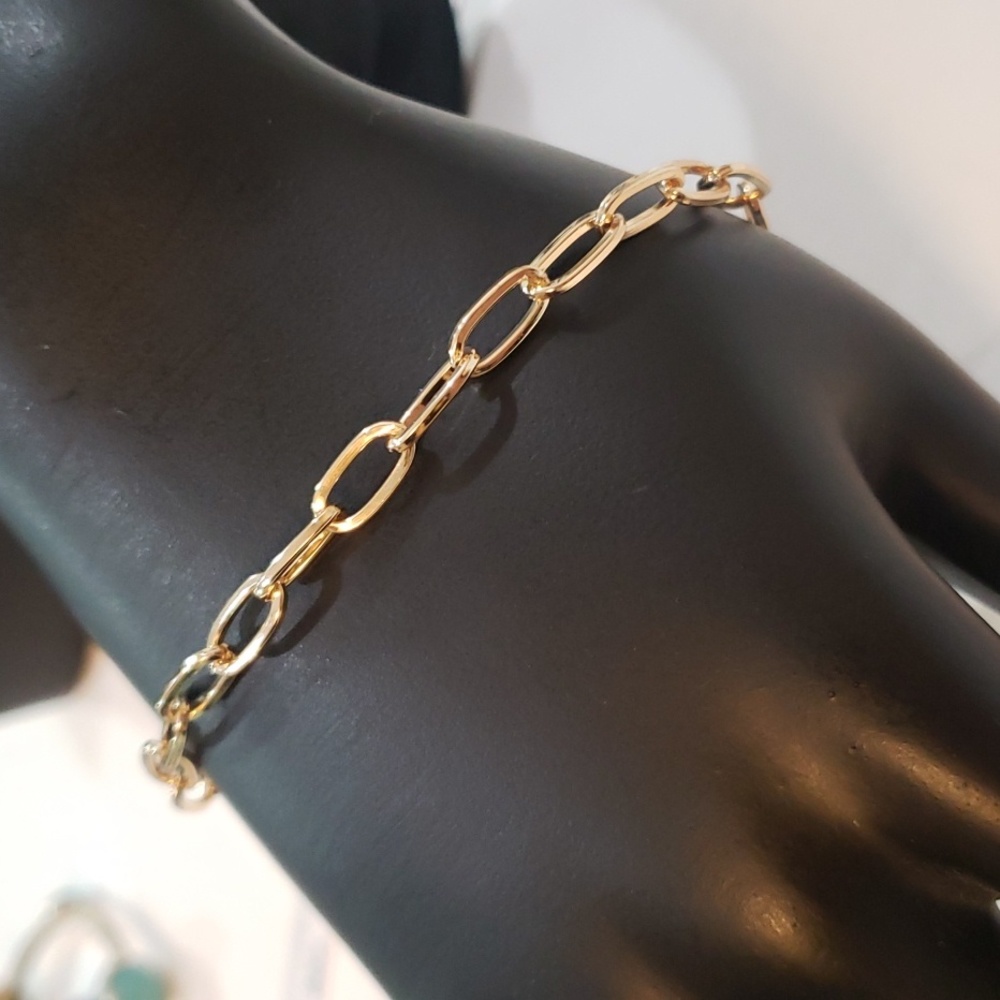 Link Bracelet NWOT